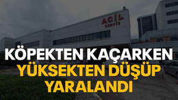 Köpekten kaçarken yüksekten düşüp yaralandı